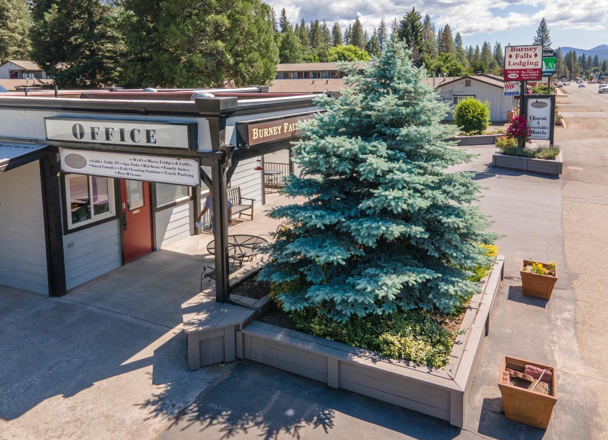Charm Motel & Suites Burney Екстериор снимка